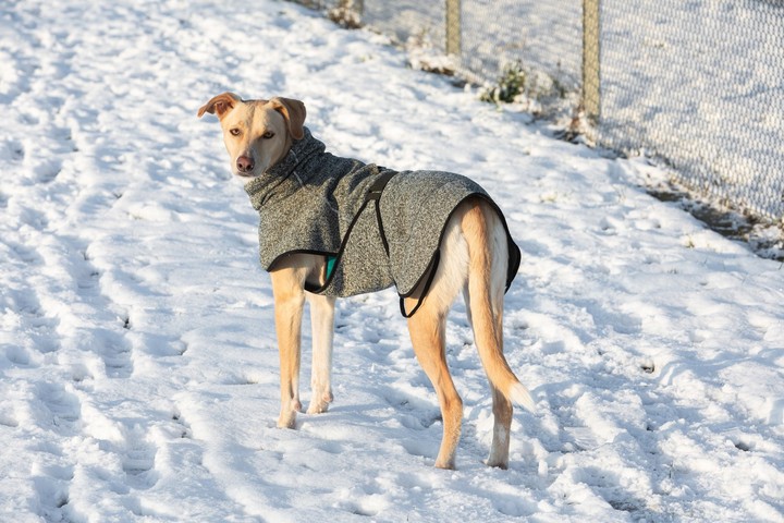 Ilustračná foto - prvý sneh